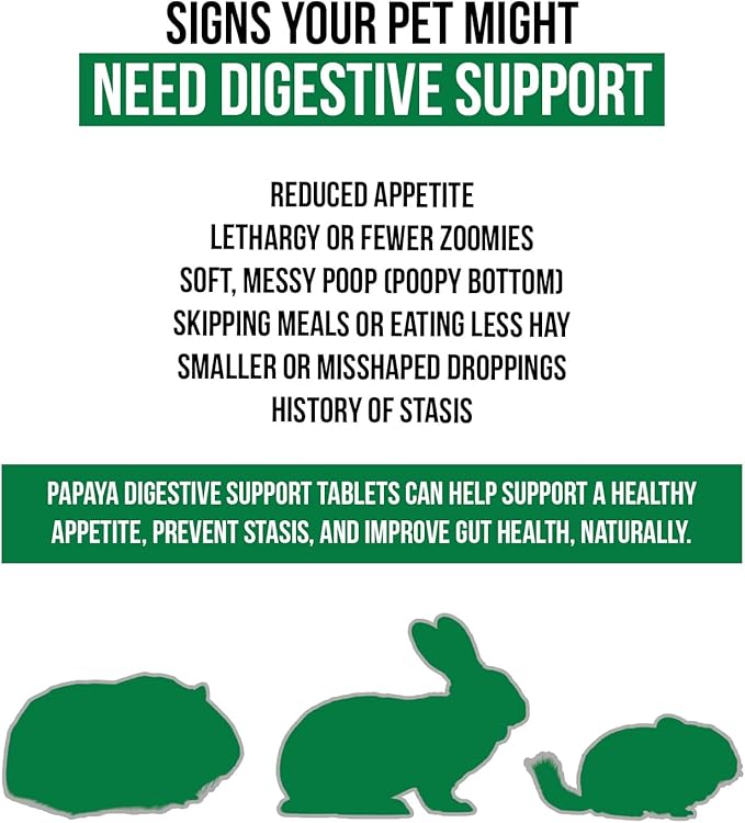Digestive Support, Papaya by Sherwood Pet Health (100 Tablets - 60 Grams). Contains Natural Motility Herbs That Regulate The Digestive Tract, Improve The Gut microbiome and Stimulate The Appetite.-PawvioPets