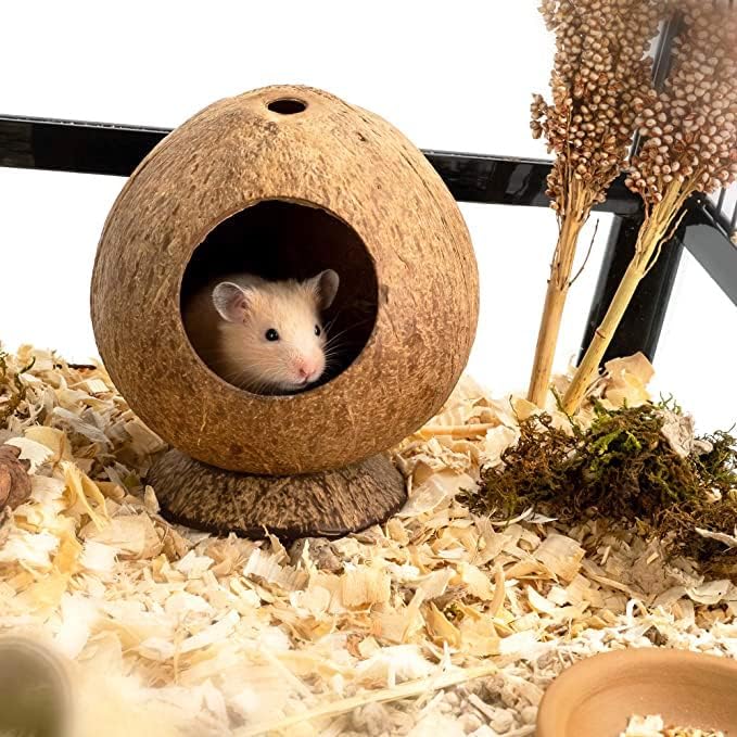 Coconut Hamster Hideout Hamster House Gerbil Cage for Small Animals with a Bundle of Apple Sticks a Carrot (Brown)-PawvioPets