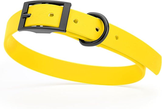 Dogline Biothane Waterproof Dog Collar Strong Coated Nylon Webbing with Black Hardware Odor- Proof for Easy Care Easy to Clean High Performance Fits Small Medium or Large Dogs, Lemon Yellow-PawvioPets