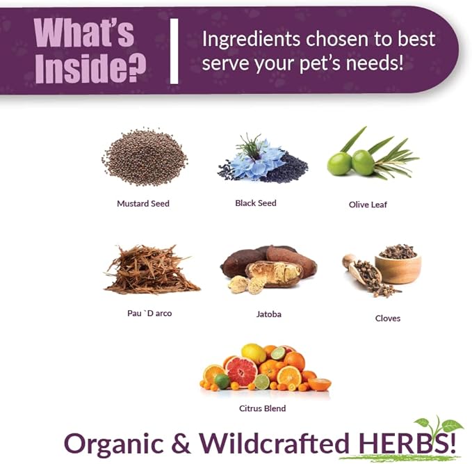 Amber NaturalZ Kochi Free Herbal Supplement for Dogs, Cats, Birds, Rabbits, and Guinea Pigs | Supports Healthy Bowel Function | Natural Aid for Digestive Balance | 4 Fluid Ounce Glass Bottle-PawvioPets