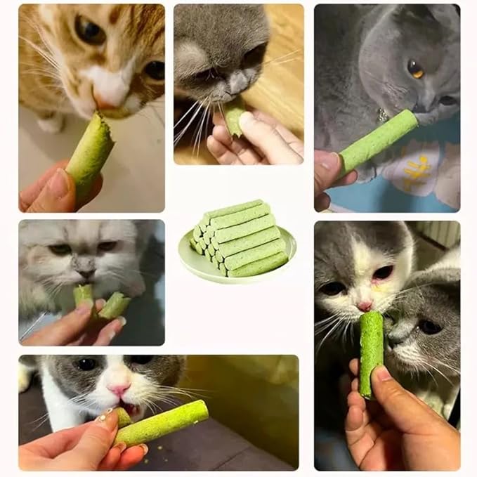 Cat Grass Teething Sticks for Hairball Removal & Teeth Cleaning, Chicken Flavored, Natural Dental Treats for Indoor Cats-PawvioPets