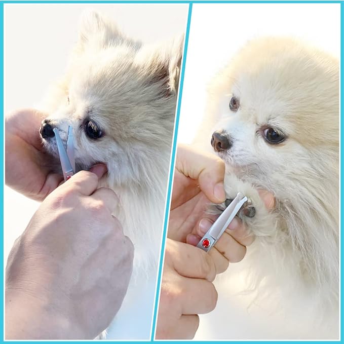 4.5" Straight Dog Scissors for Grooming Face and Paws with Safety Round Tip for Small Dogs Cats Face Paw Ears Trimmer Cat Grooming Scissors(4.5" Straight, Gray)-PawvioPets