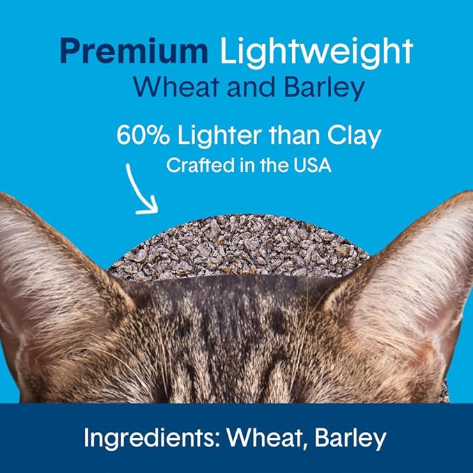 Boxie® Unscented 30 Day Natural Odor Control Cat Litter, 6.5lb Lightweight Plant Based Kitty Litter-PawvioPets