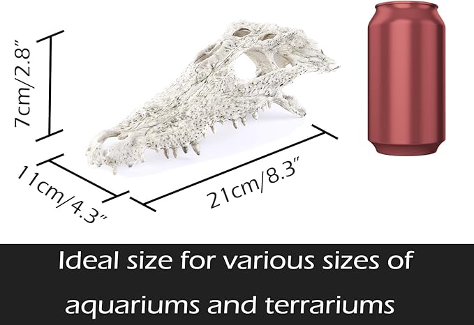 Animal Skull Fish Aquarium Hideout Decorations Cave Dinosaur Reptile Ornament Halloween Décor for Terrarium Large Betta Decor Bones-PawvioPets