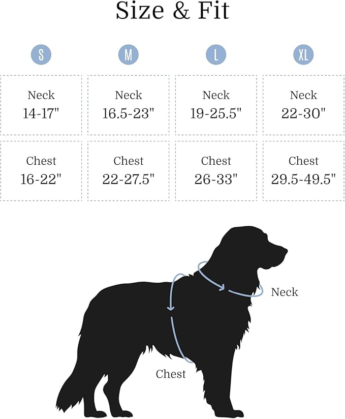 2025 New Edition, Fei & Eve MagEase Dog Harness - 3-Second Magnetic Buckles | 3-Point No-Pull Control | Heavy-Duty 900D Nylon | Dual Safety Handles | Breathable Mesh | Adjustable Fit |Small, Blue-PawvioPets