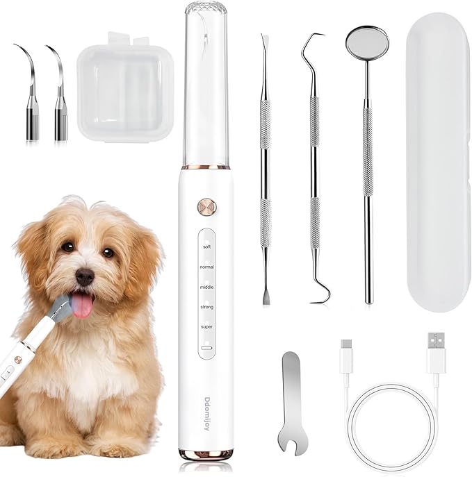 Dog Plaque Tartar Remover, Electric Toothbrush Teeth Cleaner Dental Care Kit for Dogs Cats- 5 Modes LED IPX6 Waterproof Auto-Stop Gum Protection USB Charge, 3 Brush Heads, Pet Teeth Cleaning Tools-PawvioPets