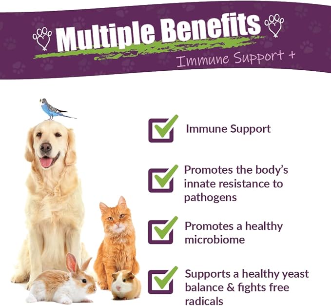 Amber NaturalZ Vibactra Plus Herbal Supplement for Dogs, Cats, Birds, Guinea Pigs, and Rabbits | Herbs for Immune Health and Yeast Balance | 4 Fluid Ounce Glass Bottle-PawvioPets