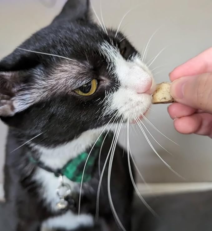 Freeze Dried Pork Heart Dog Treats Made in USA. All Natural Freeze-Dried Raw Snacks for Dogs and Cats. Single Ingredient. High Protein, Heart Health, Irresistible Training Treat-PawvioPets