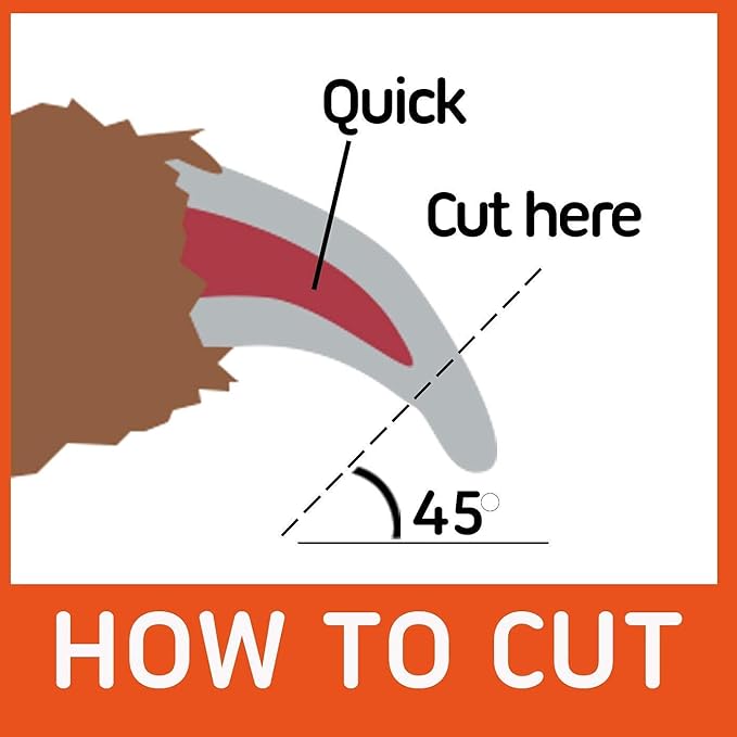 GoPets Grooming Kit Bundle with 2 Sided Dematting Comb and Deshedding Rake + Nail Clipper for Dogs and Cats Includes Nail File and Trimmer-PawvioPets