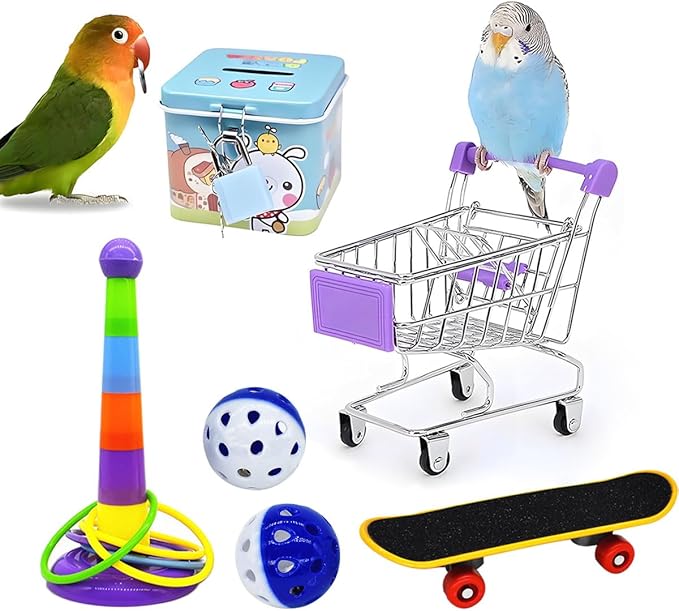 6pcs Interactive Puzzle Toy Set for Small Parrots - Training, Stress Relief, Include Coin Box, Bell Ball, Skateboard & Ferrule Toy for Bird Budgies, Cockatiels, Parakeet etc-PawvioPets