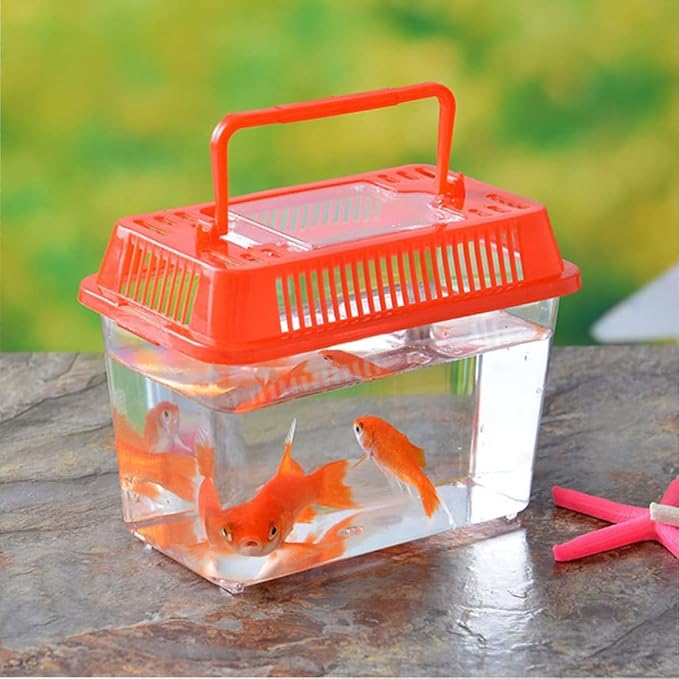 FRCOLOR Plastic Turtle Fish Tank Pet Fish Tank Small Aquarium Plastic Goldfish Aquarium Habitat Acrylic Reptile cage reptisoil terrariums Handheld Feeding Box Household-PawvioPets