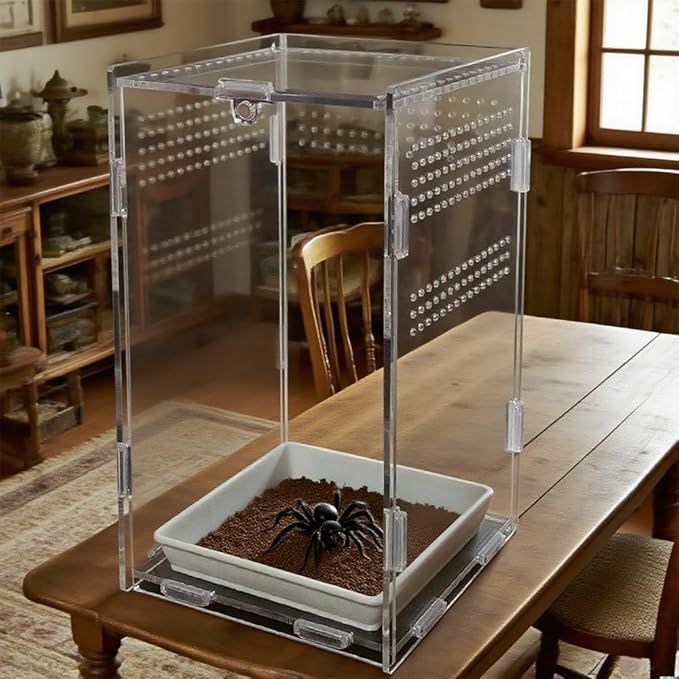 Acrylic Jumping Spider Enclosure,Reptile Enclosure,Bug Habitat, for Small Tree Dwelling Reptiles,Arboreal Tarantula Enclosure, Spider Terrarium Kit,Plastic Terrarium(4.7" X 4.7" X 8")-PawvioPets