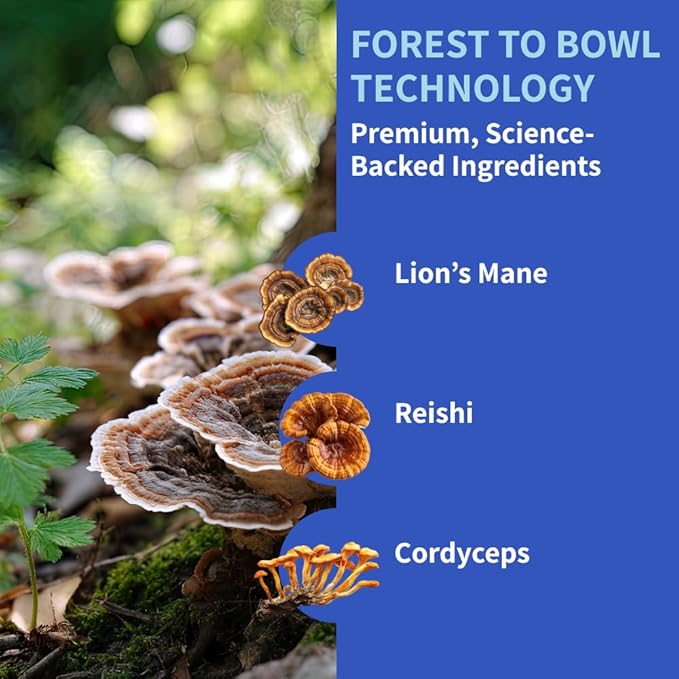 Dog Joint Supplement Powder with Glucosamine, Chondroitin & MSM – Hip & Joint Support for Mobility, Stiffness & Flexibility – Mushroom Blend with Lion’s Mane, Cordyceps & Reishi – Zoomy-PawvioPets