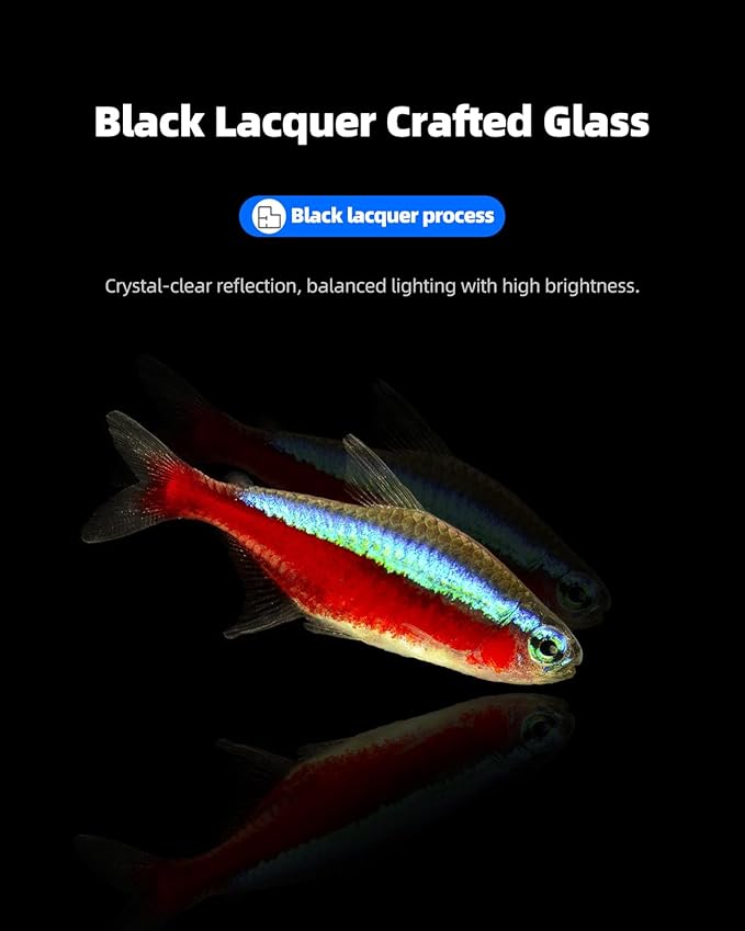 5 Gallon Clear Glass Fish Tank, Easy to Maintain Small Aquariumfor Betta, Goldfish, Snail,Shrimp and Aquatic Planting-PawvioPets