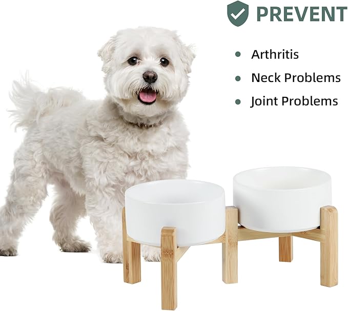 Ceramic Raised Double Bowls Set with Stand, 2 Heights Elevated, Food & Water Bowls for Small Breed Dogs, Weighted Dog Dishes, Pet Bowl(6.1'',28.7oz, White)-PawvioPets