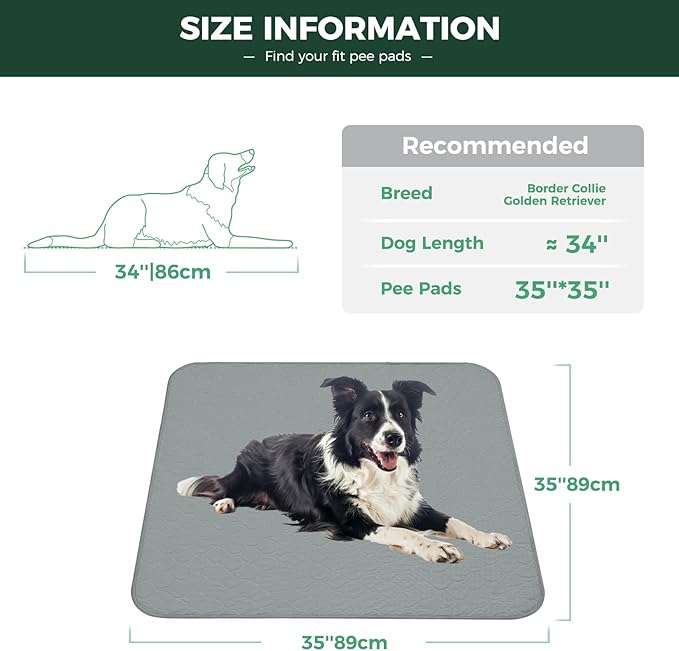 FXW Washable Pee Pads for Dogs, Puppy Pads with Super Absorbent, Specifically Designed for Potty Training, 35" Square, Gray, 4 Packs-PawvioPets