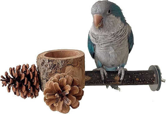 Bird Perch with Safe Bowl Wood & Pinecones - Bird Toys Chew Toys 100% Natural & Durable for Cockatiel, Conure, Budgie, Lovebird, Parakeet - Birdcage Accessory for Foraging & Oral Health-PawvioPets