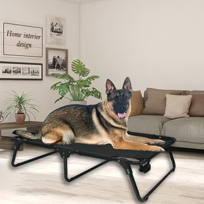 Elevated Raised Small Meduim Dog Bed Cots,Cooling Foldable No Assembly Need Pet Hammock Bed with Breathable Mesh, Indoor Outdoor Dog Pet Bed for Small Meduim Dogs, Chew Proof, Black-PawvioPets