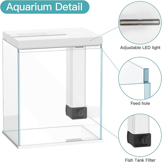 2 Gallon Glass Betta Fish Tank with Heater Filter and Light, Self-Cleaning Small Fish Tank Starter Kits.-PawvioPets