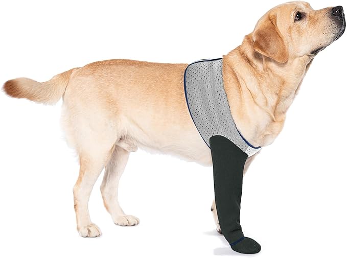 COODEO Dog Socks to Prevent Licking Paws, Healing Boots & Paw Protectors with Non-Slip Bottoms for Wound Protection, Waterproof Sleeve Shoes for Licking（Grey，2XL_Right-PawvioPets