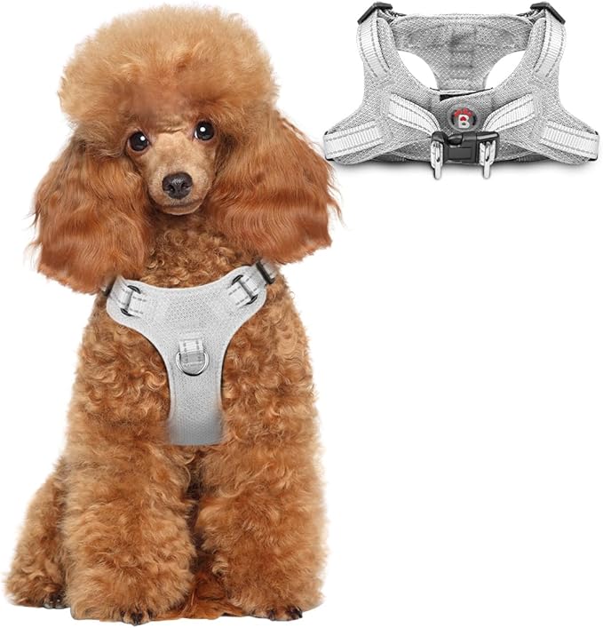 Dog Harness Step in Dog Vest Harness, Reflective Adjustable Puppy No Pull Harness Breathable Soft for Small and Medium Dogs Cats, Grey, XS-PawvioPets