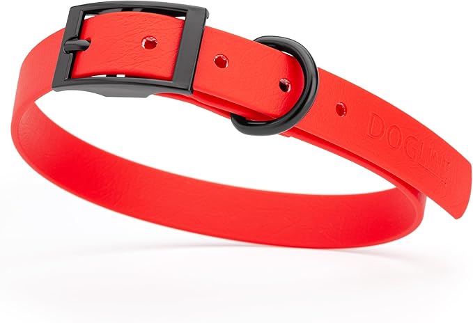 Dogline Biothane Waterproof Dog Collar Strong Coated Nylon Webbing with Black Hardware Odor- Proof for Easy Care Easy to Clean High Performance Fits Small Medium or Large Dogs, Cherry Red-PawvioPets
