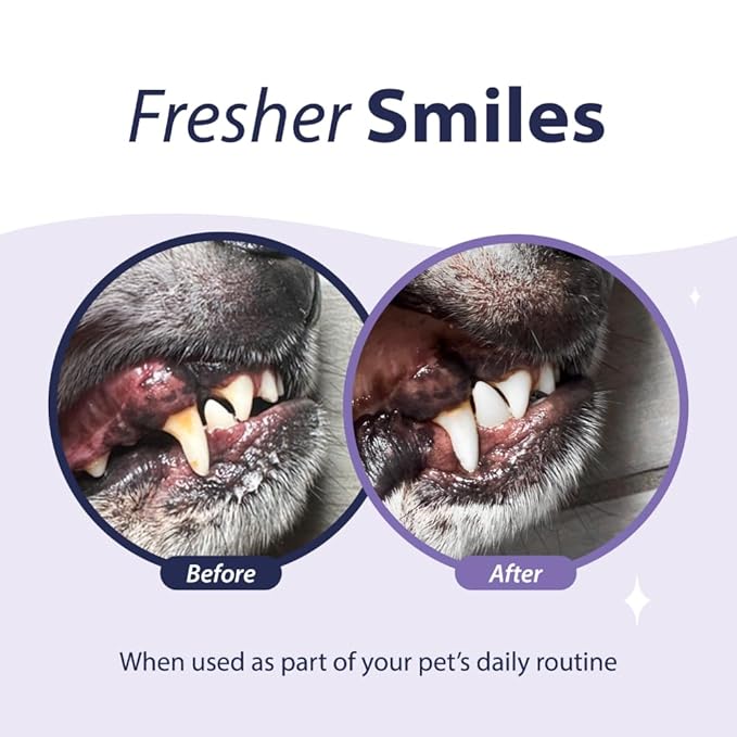 Dental Fresh Advanced Plaque and Tartar Water Additive, 32oz – Dog Teeth Cleaning Formula to Freshen Breath and Improve Cat & Dog Dental Care-PawvioPets