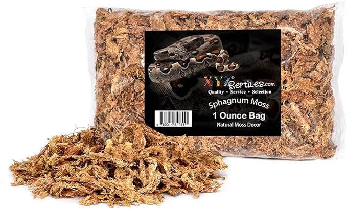 Boa Constrictor Habitat 10 Gallon Terrarium Kit-PawvioPets