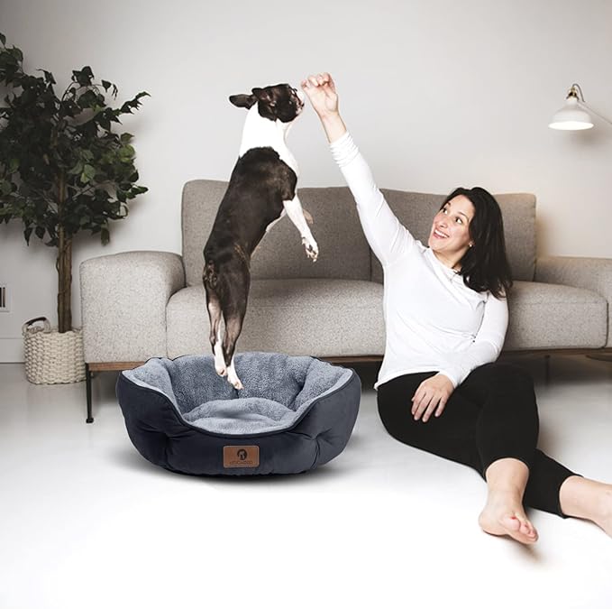 Asvin Small Dog Bed for Small Dogs, Cat Beds for Indoor Cats, Pet Bed for Puppy and Kitty, Extra Soft & Machine Washable with Anti-Slip & Water-Resistant Oxford Bottom, Black, 20 inches-PawvioPets