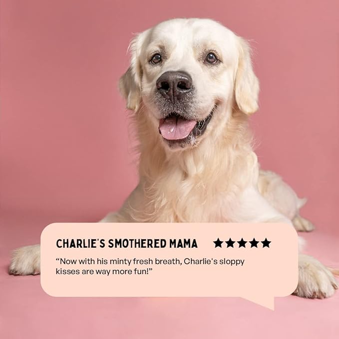 Fresh Breath Oral Strips for Dogs & Cats | Natural Spearmint & Thymol for Easy and Convenient, All-Natural Oral Care (30 Oral Dissolving Strips)-PawvioPets