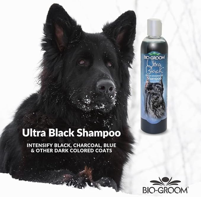 Bio-Groom Ultra-Black Dog Shampoo – Color Enhancing Pet Shampoo, Dog Bathing Supplies, Puppy Wash, Dog Grooming Supplies, Cruelty-Free, Made in USA, Coat Brightener Shampoo – 12 fl oz 1-Pack-PawvioPets