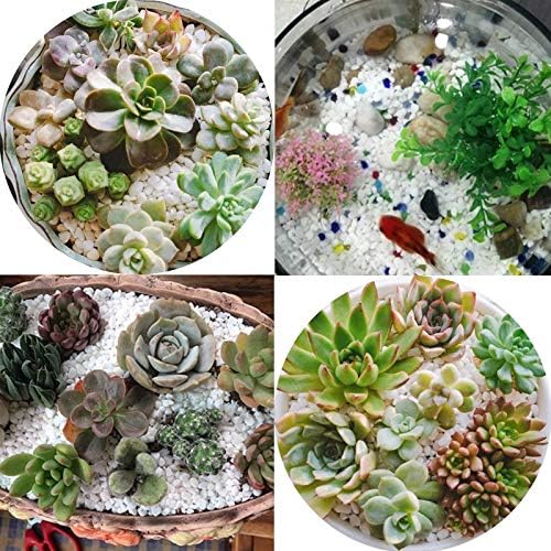 18 Pounds Decorative Pebbles Small White Stones Aquarium Gravel River Rock, Natural Polished Decorative Gravel,Garden Ornamental Pebbles Rocks,White Decorative Stones,White Pebbles, Decor (White)-PawvioPets