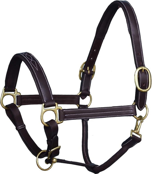 Exion Leather Horse Halter with Fancy Stitching | Black & Brown Padded Halter with Brass Hardware | Quick-Release Snap | Adjustable Leather Halter – Cob, Full, Over, Pony Sizes-PawvioPets