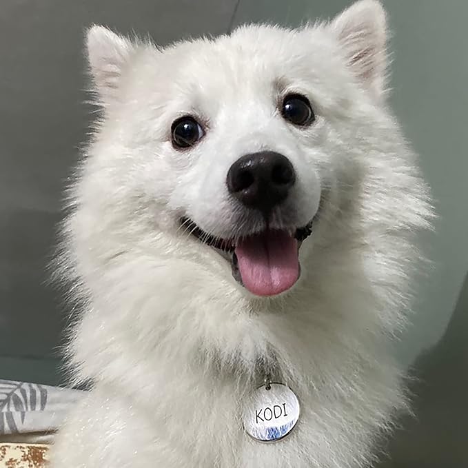 316 Surgical Grade Stainless Steel Personalized Dog & Cat ID Tags - Made with Three Thousand Love for Our Fur-Baby - Original Funny Shapes Heart, Engraved Name or Text for Pet Collar Accessories-PawvioPets