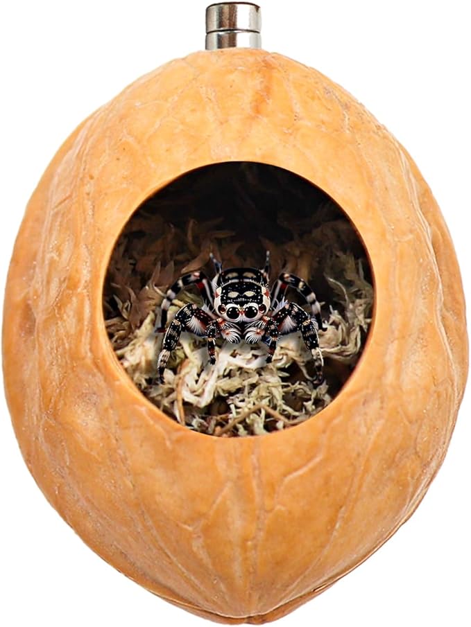 2 Pack Jumping Spider Enclosure Accessories with Walnut Shell Moss and Magnet, Natural Material Jumping Spider Hide-PawvioPets