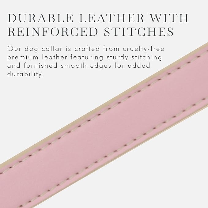 Cupertino Dog Collars, Harnesses & Leashes Made from Vegan Leather with Dog Tracker Device Holder Adjustable Dog Collar (Extra Small (Neck: 9x12), Pink)-PawvioPets
