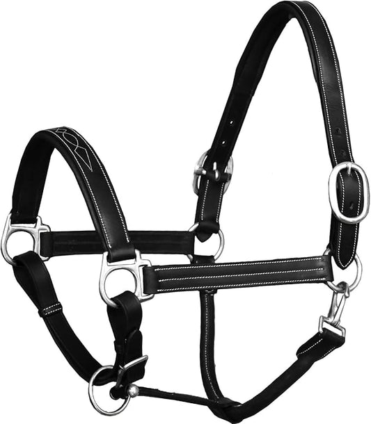 Exion Leather Horse Halter with Fancy Stitching | Black & Brown Padded Halter with Silver Brass Hardware | Quick-Release Snap | Adjustable Leather Halter – Cob, Full, Over, Pony Sizes-PawvioPets