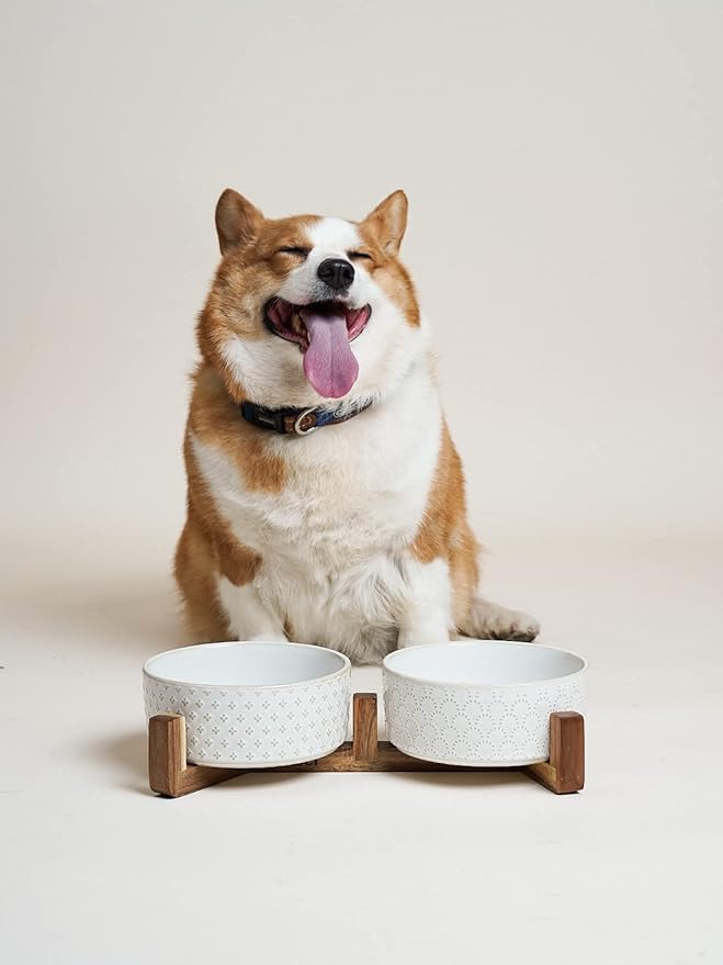 Dog Bowls Ceramic for Small Medium Dogs - 3-Cup Dual Food & Water Bowl Set with Acacia Wood Stand, Non-Slip Anti-Tip Elevated Design-PawvioPets