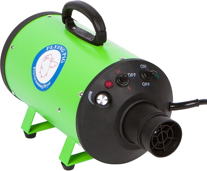 Flying Pig High Velocity Dog Pet Grooming Dryer w/Heater (Model: Flying One, Green)-PawvioPets