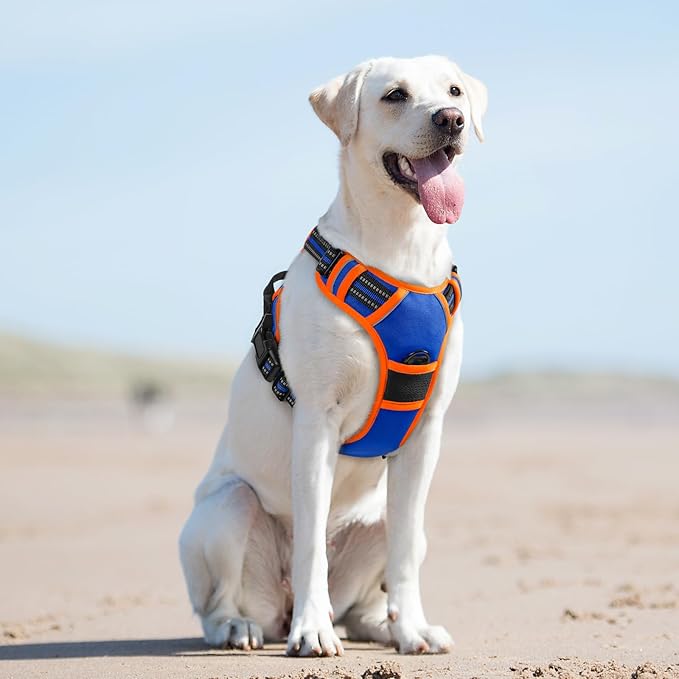 Eagloo Dog Harness for Large Dogs, No Pull Service Vest with Reflective Strips and Control Handle, Adjustable and Comfortable for Walking, No Choke Pet Harness with 2 Metal Rings, Blue & Orange, L-PawvioPets
