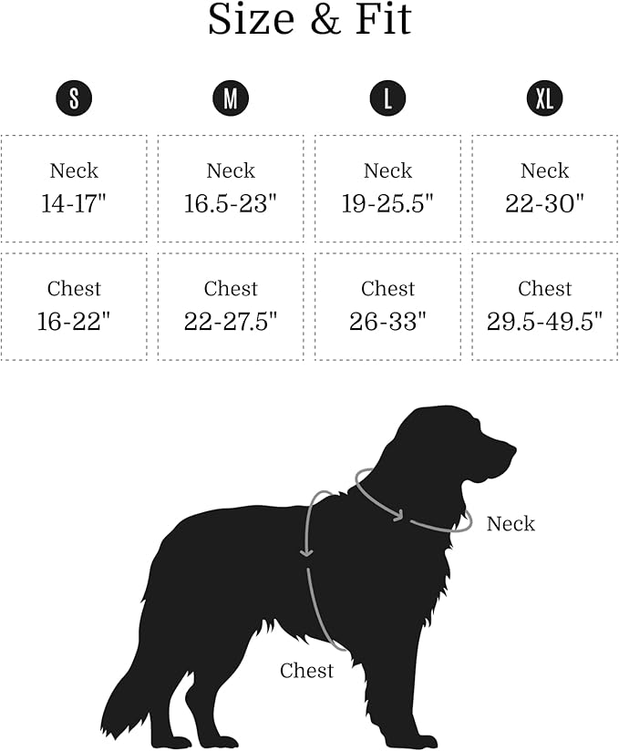 2025 New Edition, Fei & Eve MagEase Dog Harness - 3-Second Magnetic Buckles | 3-Point No-Pull Control | Heavy-Duty 900D Nylon | Dual Safety Handles | Breathable Mesh | Adjustable Fit | Small, Black-PawvioPets