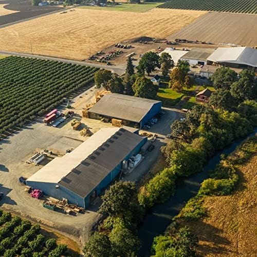 Blue Mountain Hay | Fresh Teff Grass Hay (15 Ounce) | Low NSC, High Fiber, Healthy Weight Management | High-Altitude Hay Pet Food for Rabbits, Guinea Pigs, Chinchillas, Hamsters, and Other Small Pets-PawvioPets