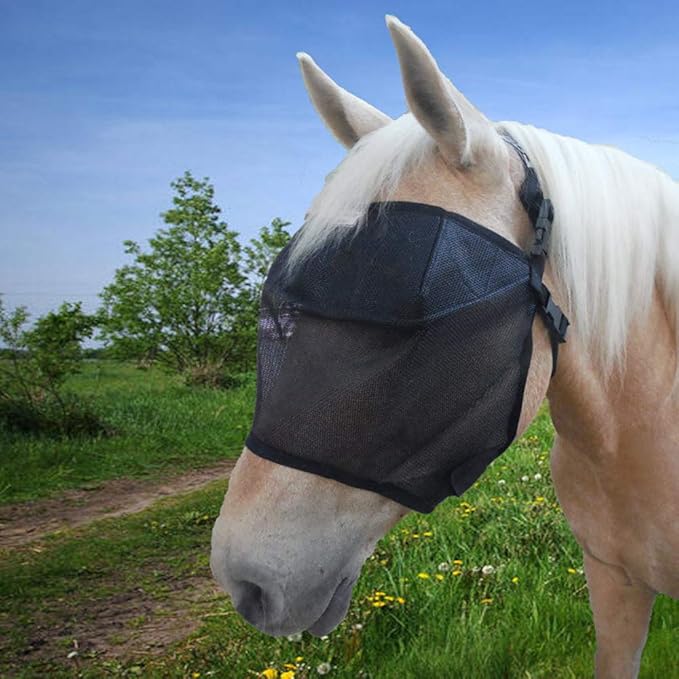 EquiVizor 95% UV Eye Protection (COB) Standard Horse Fly Mask - Help with Uveitis, Corneal Ulcer, Light Sensitivity. Designed to Stay On Your Horse, Off The Ground.-PawvioPets