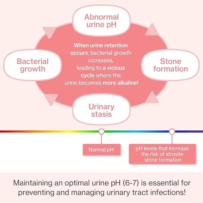 Dr.by UT Care Cat UTI Kidney Support Urinary Supplement Cranberry Treatment for Cats Renal Health with Pacran, Quercetin, Taurine lickable Formula Individually Packaged (1 Pack)-PawvioPets