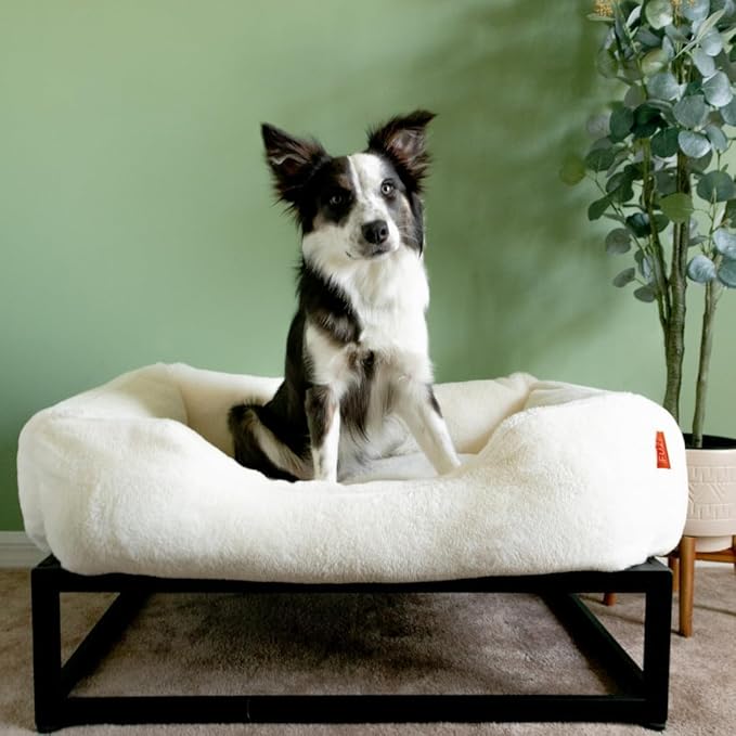 FUZI Luxury Aesthetic Dog Bed for Small Dogs with Washable Cover, Pet Couch, Pet Bed with Sides, Non-Slip Bottom, Soft and Durable Calming Dog Bed, Faux Rabbit Fur, Small 25.1x16.75x9.5 Soft White-PawvioPets