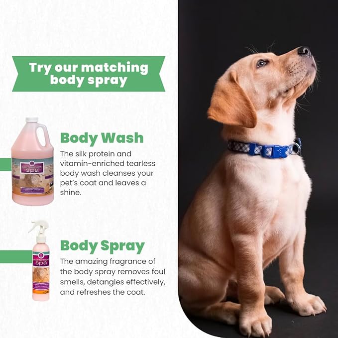 Best Shot Scentament Spa Tropical Breeze Seasonal Facial & Body Wash, 1 Gallon-PawvioPets