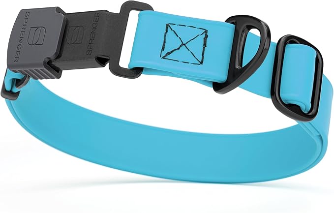 Dogline Biothane Waterproof Dog Collar with Herm Sprenger Stainless Steel Quick Release Buckle – Heavy Duty Tactical Durable Collar for Dogs – Comfortable and Safe Pet Collar, W 3/4" L 12-19" Sky Blue-PawvioPets