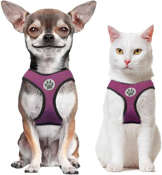 BINGPET Small Dog Harness - Breathable Mesh Puppy Cat Harnesses - No Pull Adjustable Dog Harness Dog Vest Harness for Small and Medium Dogs-PawvioPets