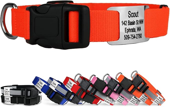 GoTags Personalized Dog Collar with Nameplate, Adjustable Dog Collar with Custom Engraved Slide On Pet ID Tag in Stainless Steel, Silent, No Noise Dog Tag for Large Medium and Small (Orange, Small)-PawvioPets