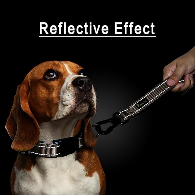 PLUTUS PET Short Dog Leash, Reflective Nylon Padded Handle, Strong Traffic Leash with Carabiner Clip, Perfect for Large or Medium Dogs (10”，Beige)-PawvioPets